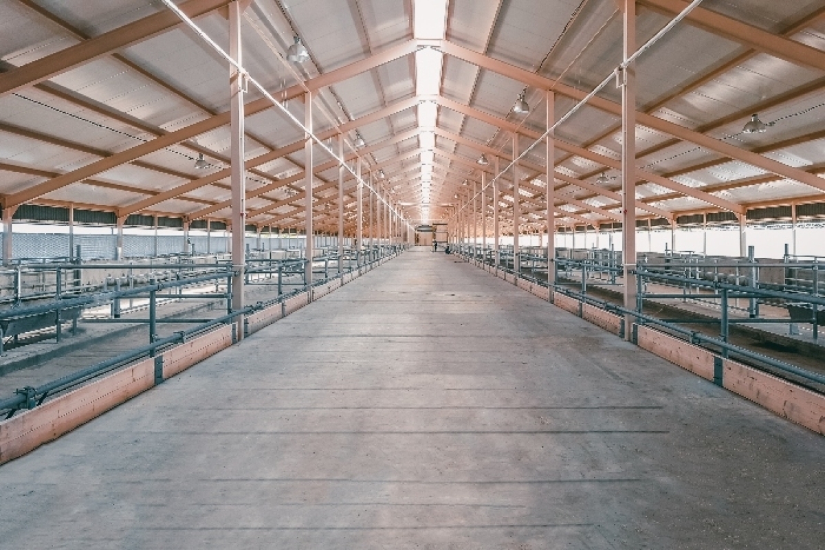 5 Flooring and Ground Options for Your Pole Barn