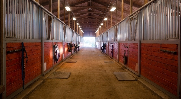 Everything You Need to Know about Building Your Equestrian Barn