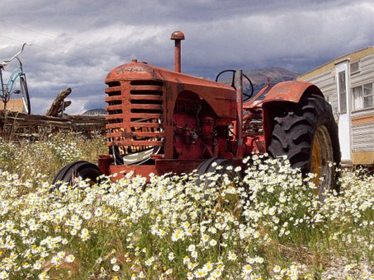 Uses for Pole Barns in the Agricultural: Historical and Modern Day