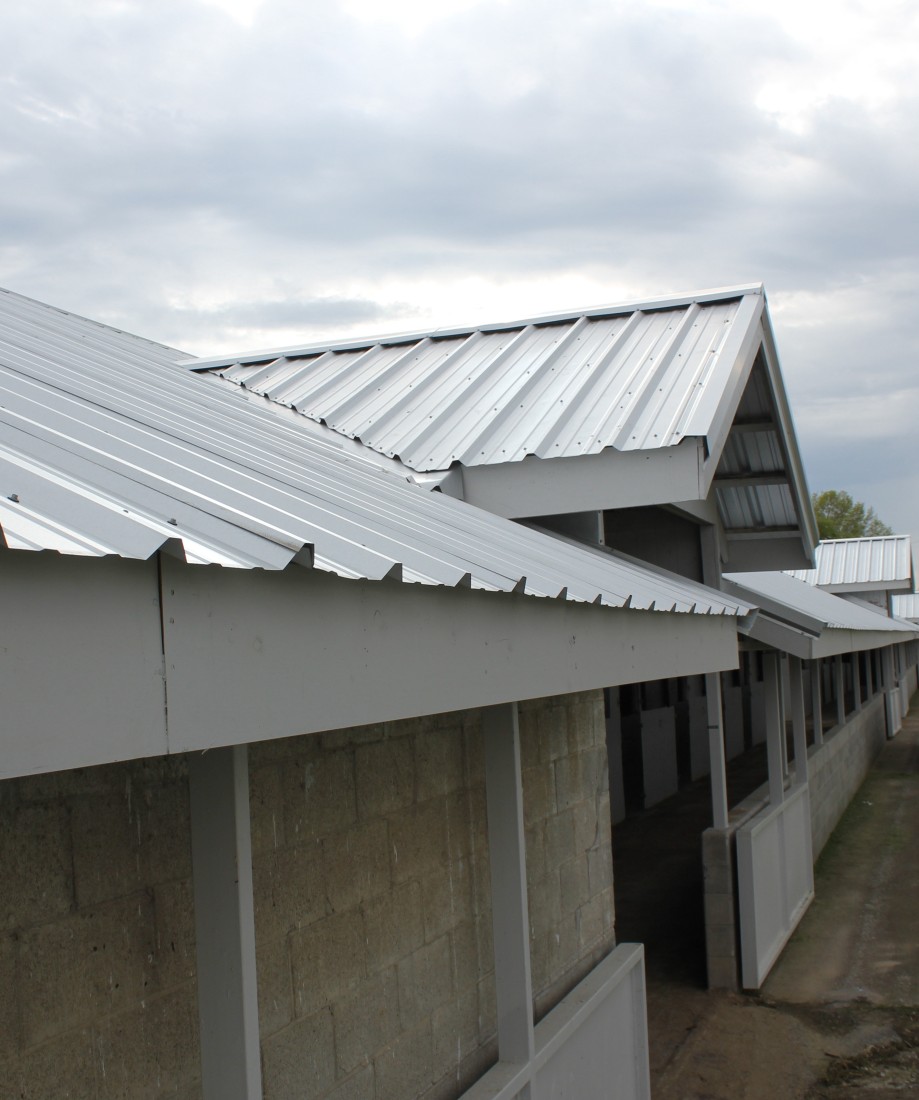 Ribbed Metal Roofing in Indiana | Mansea Metal - 04-Keeneland